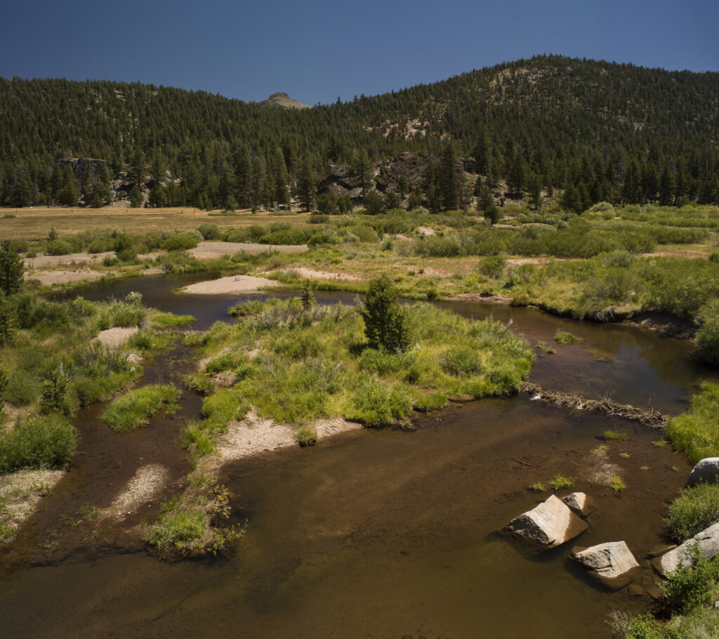 Hope Valley Meadow, California | Daniel Nylen