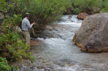 Fishing on Stone Creek.