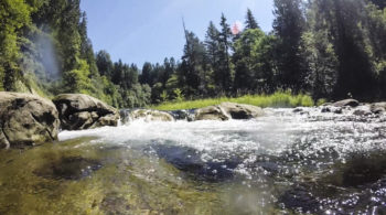 Green-Duwamish River | Washington Environmental Council