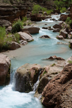 Just above the Colorado on Havasu Creek.