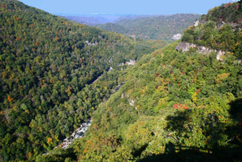 A view of the Russell Fork River from Breaks Park