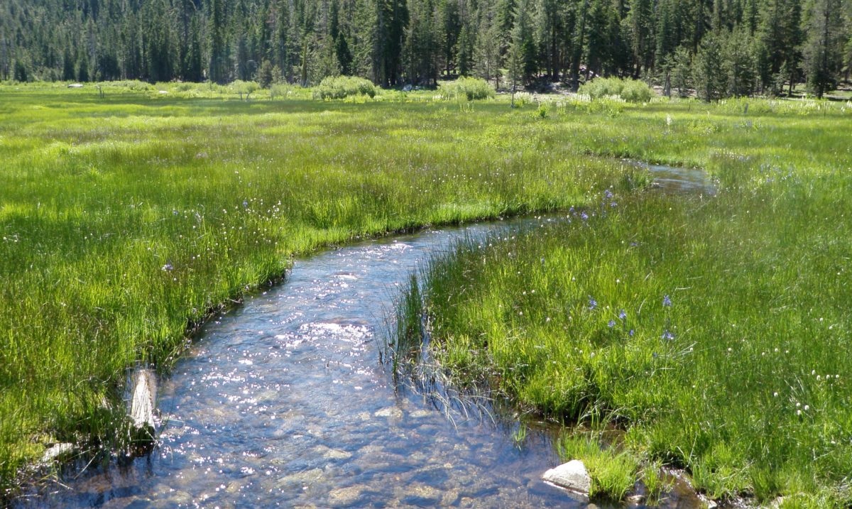 Yuba Watershed, California Luke Hunt