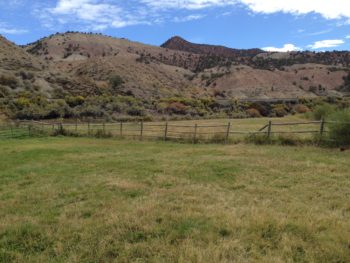 Dewey Park is now under a conservation easement, meaning no development can occur along the Colorado River here. | Fay Augustyn