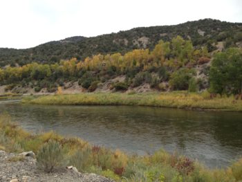 Dewey Park in Eagle County, Colorado. | Fay Augustyn