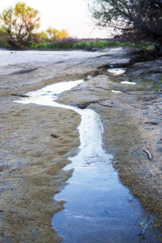 California's San Joaquin River drying up at San Mateo Road. | Alison Jones