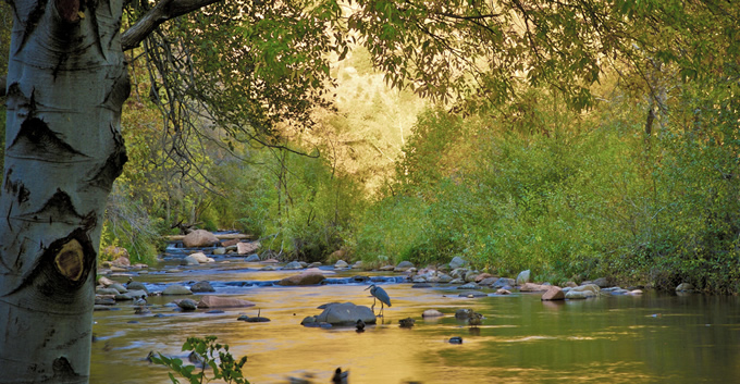 Verde River, AZ | Arizona Office of Tourism