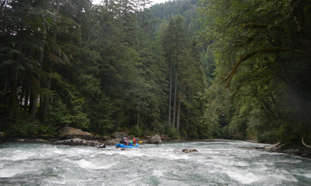 On the Nooksack River with Wild & Scenic River Tours.