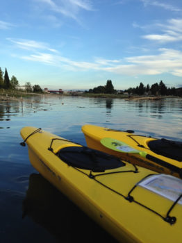 Kayaks on the Duwamish River. | King County Natural Resources and Parks