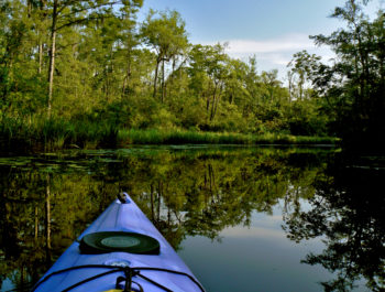 Waccamaw River | Charles Slate