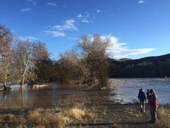 Upstream of Nelson Dam, an intentional levee breach allows floodwaters to slow and spread into sidechannels. | Nicky Pasi