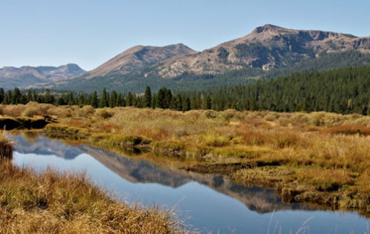 Scenic Hope Valley Meadow | Judy Wickwire