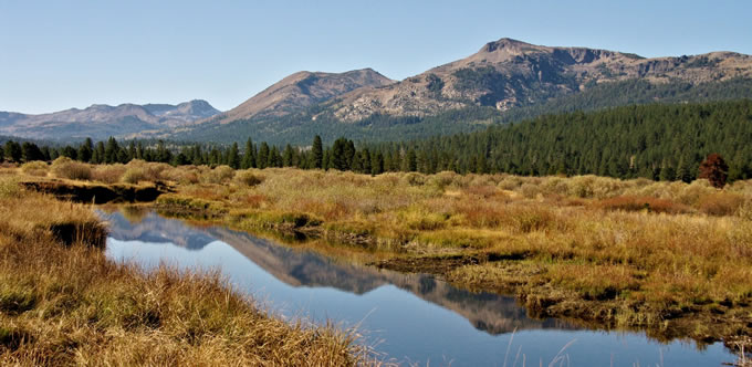 Scenic Hope Valley Meadow | Judy Wickwire