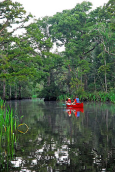 Canoeing the Pascagoula River. | Visit Mississippi