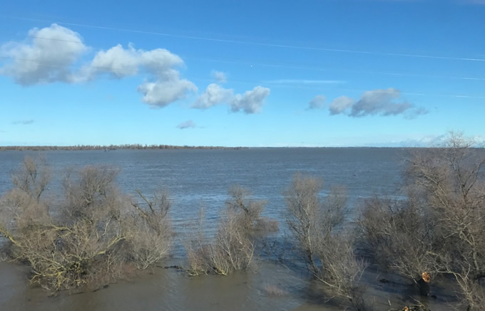 The Yolo Bypass from the train window. | John Cain