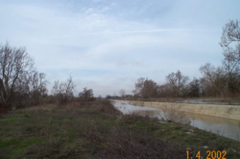 Fremont Weir is a simple concrete structure that is 1.8 miles long and about 6 feet high. Note the linear concrete structure that runs from the lower left into the center of the photo.