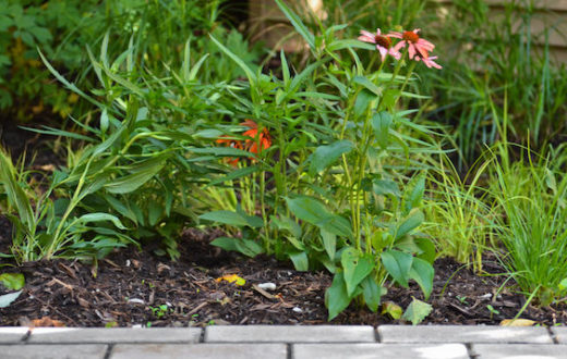 Back yard rain garden and permeable pavers. | Center for Neighborhood Technology