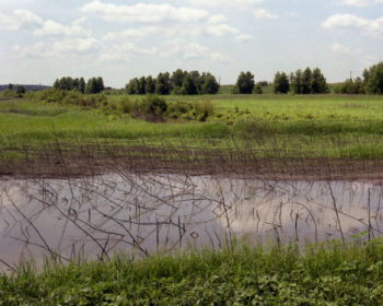 Ten Mile Pond. | SJNM