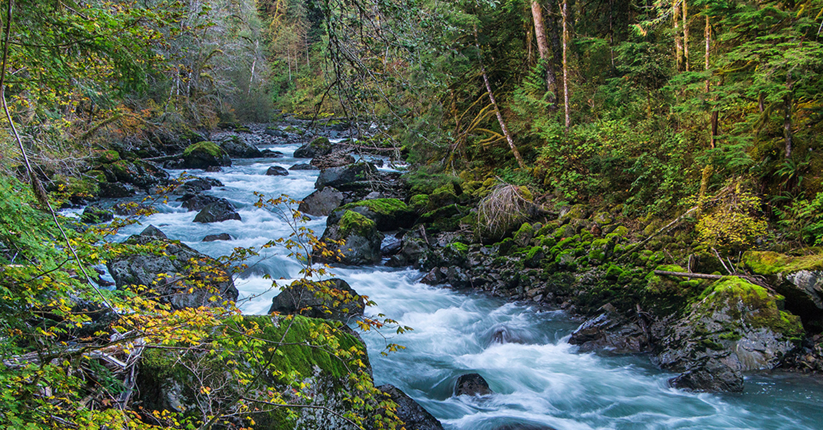 Nooksack River, Washington | Brett Baunton