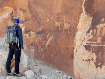 Petroglyph panel, Bears Ears National Monument. | Mike Fiebig