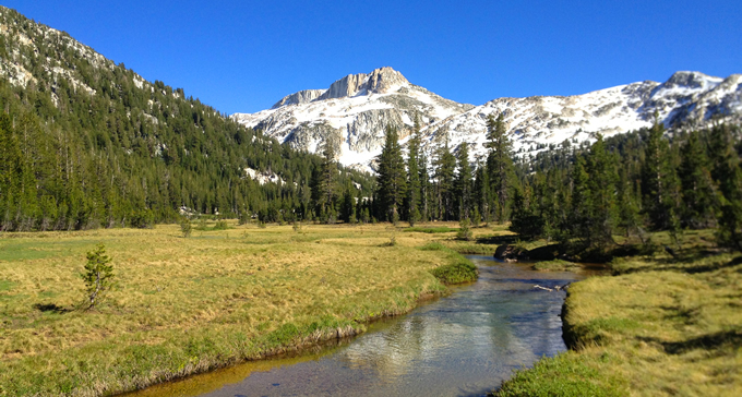Healthy meadows act as natural reservoirs, California. | Jacob Dyste
