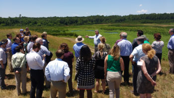 Water treatment wetlands at Clayton County Water Authority, Headwaters of the Flint River. | Jeremy Diner