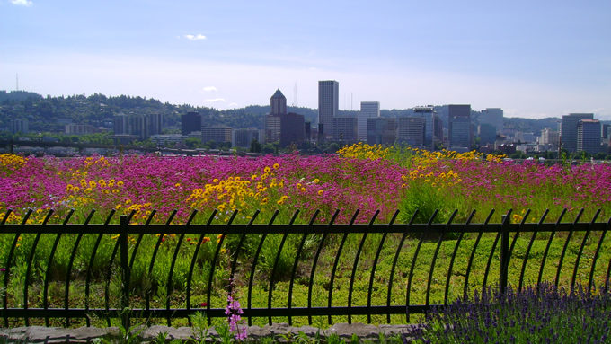 portland green roof_Portland BES Amy Joslin Memorial Eco-roof Portland, OR. | Emily Hauth Portland Bureau of Environmental Services