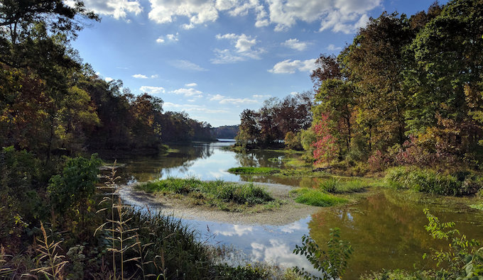 Black Warrior River, Arcola, Alabama. | Tim Gage