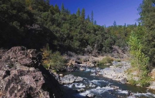 Bear River, CA | Voice of the Bear River