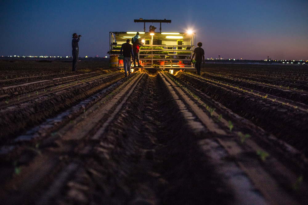 Working well into the night, the people of the Colorado River grow food for a nation. | Amy Martin