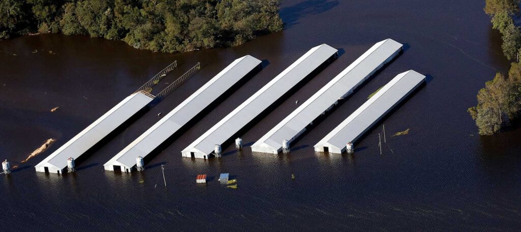 Neuse River CAFOs | Rick Dove, Waterkeeper Alliance