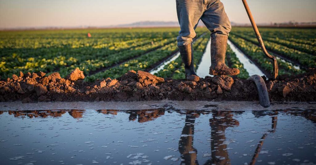 Farm worker | Amy Martin