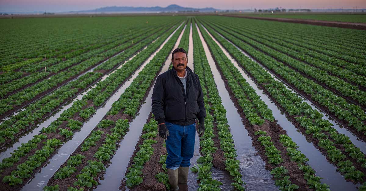 Farm worker | Amy Martin