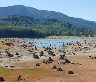 Alder Reservoir on the Nisqually River during a period of low water. This reservoir is associated with Tacoma Power's Nisqually Hydroelectric Project (FERC P-1862). | Thomas O'Keefe/Hydropower Reform Coalition
