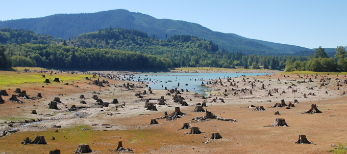 Alder Reservoir on the Nisqually River during a period of low water. This reservoir is associated with Tacoma Power's Nisqually Hydroelectric Project (FERC P-1862). | Thomas O'Keefe/Hydropower Reform Coalition