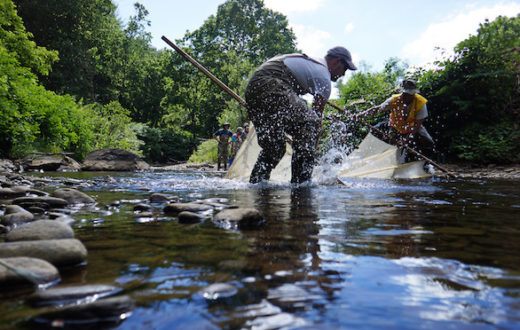 U.S. Fish and Wildlife scientists run a seine through a remnant pool to catch fish at a decrepit dam on the Cane River, in North Carolina. | Photo: U.S. Fish and Wildlife Service Southeast Region