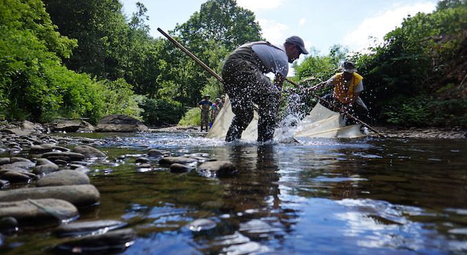 U.S. Fish and Wildlife scientists run a seine through a remnant pool to catch fish at a decrepit dam on the Cane River, in North Carolina. | Photo: U.S. Fish and Wildlife Service Southeast Region