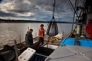 Bristol Bay and its associated ecosystem are home to some of the most treasured salmon fisheries. | Bob Waldrop