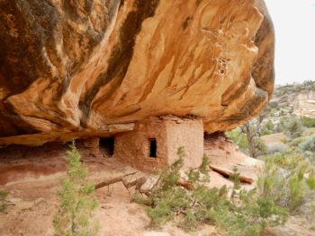Cliff dwellings at Bears Ears National Monument. | Mike Fiebig