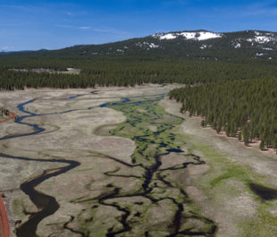 Confluence Meadow. | Photo: Trout Unlimited/Drone Productions