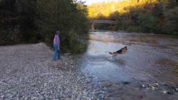 A dog and it's owner play along the banks of the Bear River. | Photo: The Voice of the Bear River