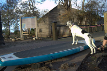 Betty getting ready for her first SUP session on the Waccamaw Riverwalk in Conway, SC. | Grace Sutz Photography