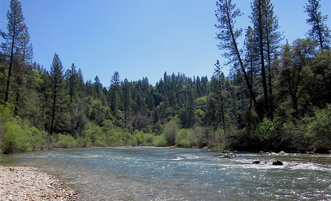 Bear River in Colfax, CA | Photo: Stephanie Curin