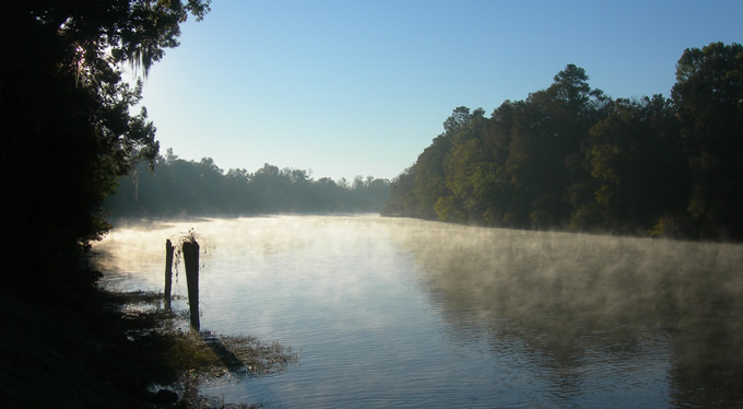 Cape Fear River | Photo: Jimmy Emerson DVM