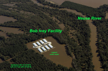 A CAFO spill on the Neuse River during Hurricane Matthew. | Photo: Rick Dove, Waterkeeper Alliance