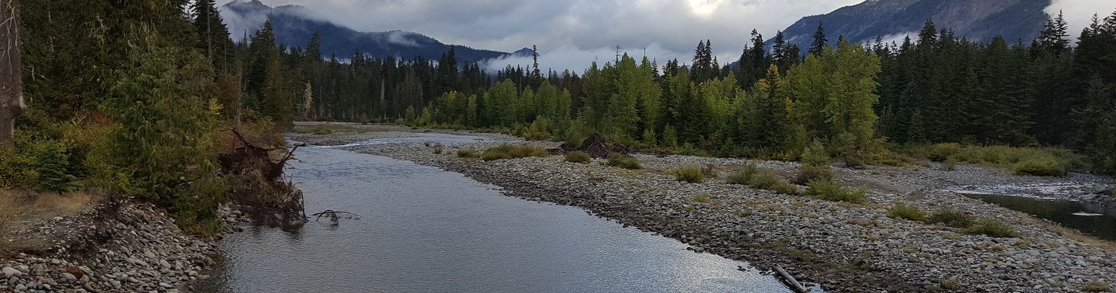 A healthy, connected floodplain on the Cooper River in the Central Cascades of WA | Photo: Jonathon Loos