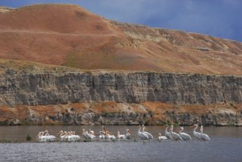 Hanford Reach National Monument | Photo: Thomas O' Keefe