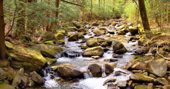 Middle Saluda River, SC. | Photo: Lucid Nightmare (Flickr)