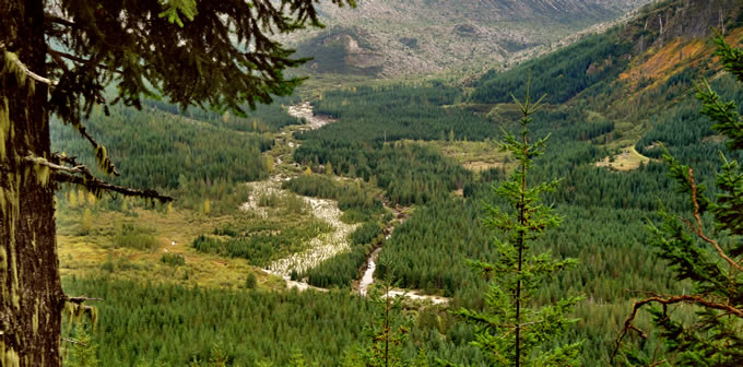 The Green River | Photo: Cascade Forest Conservancy