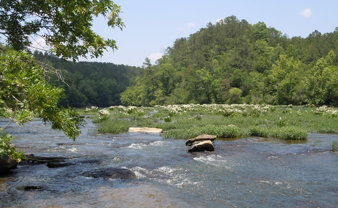 Cahaba River, Alabama | Photo: g - s - h (Flickr)