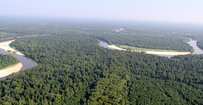 An aerial view of the lower Pearl River. | Photo: Bonny Schumaker